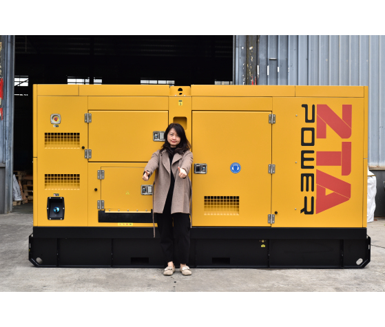 Дизельный генератор ZTA Power 250 кВА SDEC